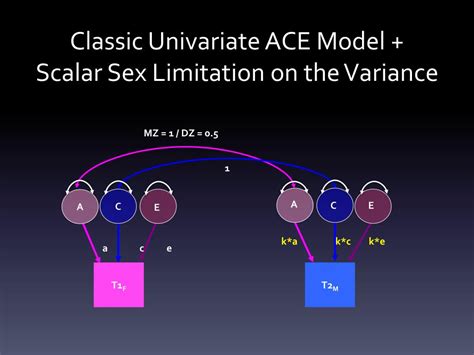 Ppt Heterogeneity Testing Powerpoint Presentation Free Download Id 1539210