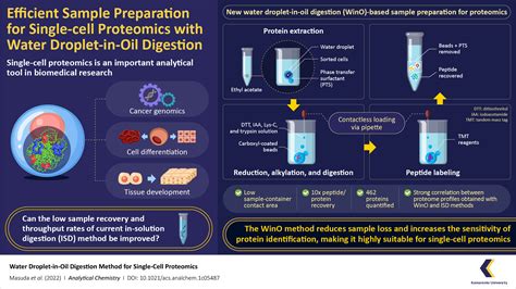 New Method Enables Efficient Sample Preparation For Single Cell Proteomics