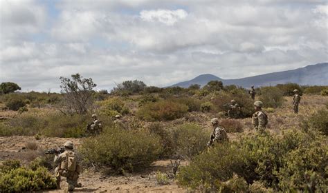 DVIDS Images India Co Conducts Grenade Training And Integrated