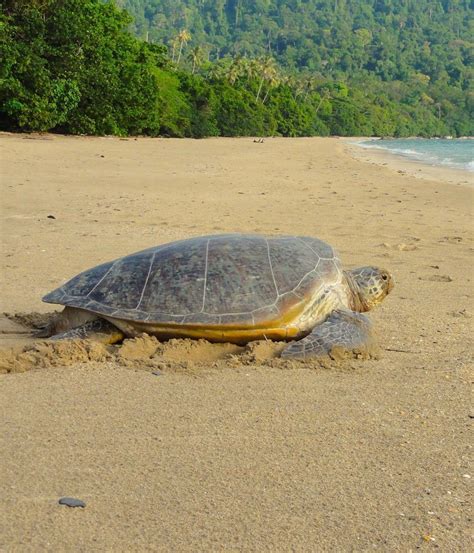 Tanjung Datu National Park 4D3N Tour Borneo Adventure