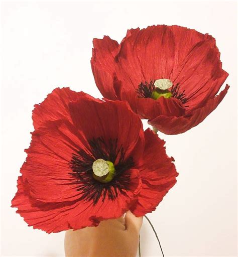 Crepe Paper Poppy By Moniquepaperart Paper Flowers Diy Tissue Paper Flowers Crepe Paper Flowers