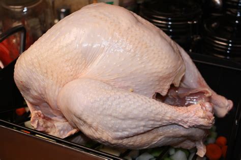 How To Make The Perfect Thanksgiving Turkey Easy Hubpages