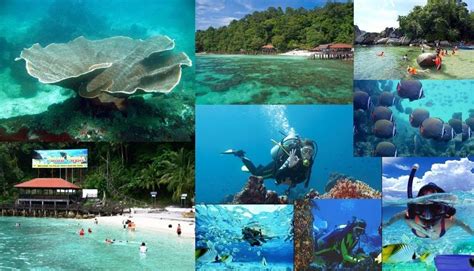 Snorkeling Pulau Rawa - EllekruwErickson