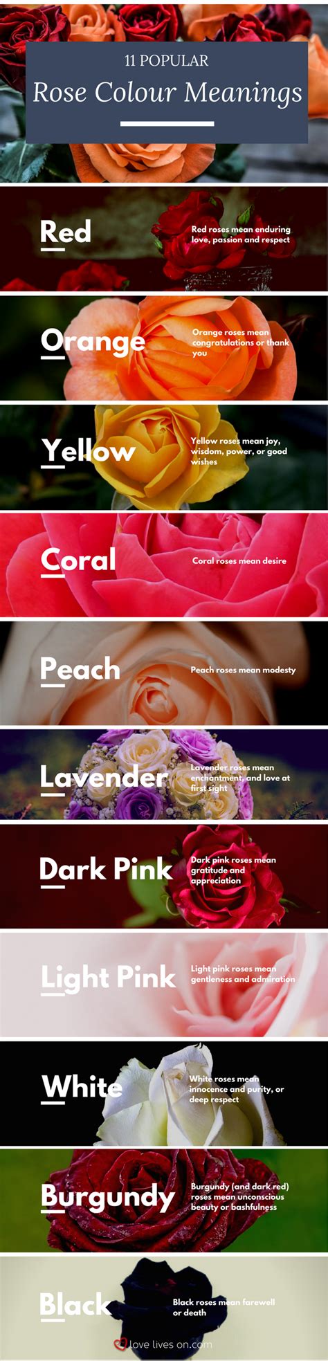 Funeral Flowers And Their Meanings The Ultimate Guide Lavender Wedding Flowers Rose Color