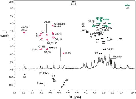 13 C 1 H Heteronuclear Two Dimensional Nmr Experiments For Pooled