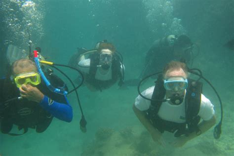 Unworldly Shipwreck Diving And Immersive Reef Exploration Snorkeling