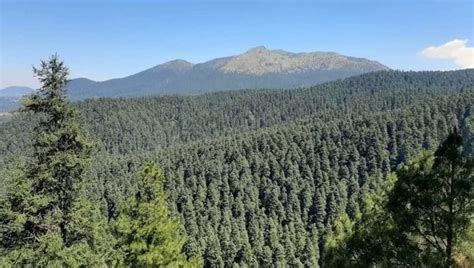 Parque Ejidal San Nicol S Totolapan Aventura Natural Cerca De La Cdmx