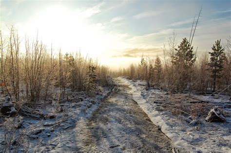 Bildet landskap tre natur skog gress villmark fjell snø