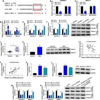 Circ Kcnq Regulated Rab Expression By Targeting Mir A The