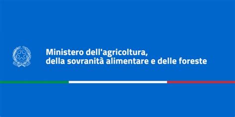 Beni Alimentari Indicazioni Operative Sulla Misura A Sostegno Delle