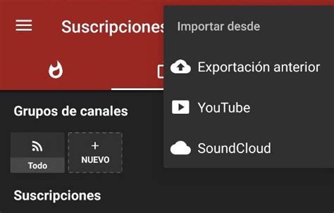 Importar Suscripciones De Youtube A Newpipe La Guía Definitiva 2024