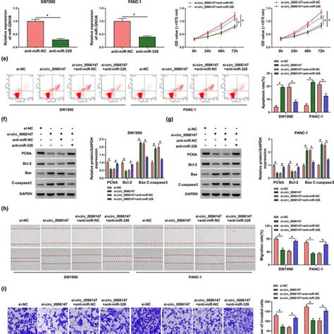 Circ0066147 Silencing Regulated Cell Proliferation Migration Download Scientific Diagram