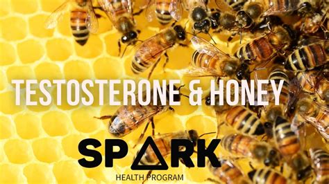 Does Honey Boost Testosterone Levels Spark Health Program