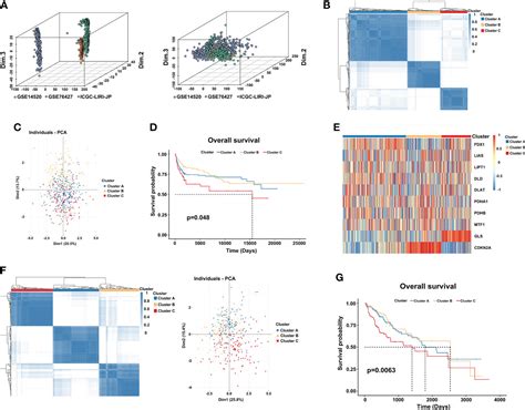 Frontiers Identification Of Cuproptosis Related Subtypes Cuproptosis