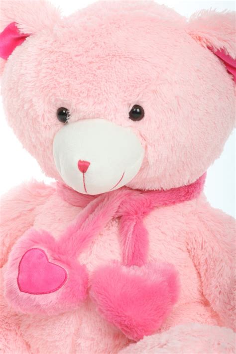 Candy Hugs 30 Adorable Plush Stuffed Teddy Bear Giant Teddy Bears