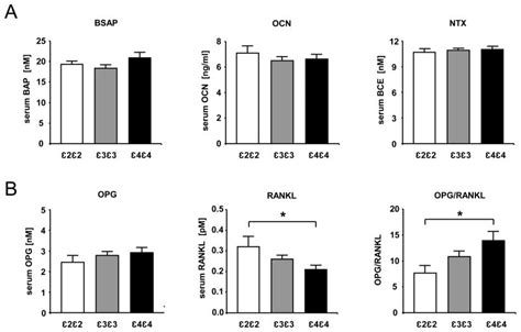 Human Apolipoprotein E Isoforms Differentially Affect Bone Mass And