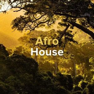 Made an Afro House playlist to prepare for summer. Including afro Tracks from Black Coffee ...