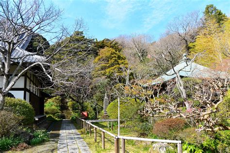 【鎌倉市】文化情報 On Twitter 【歴史さんぽ】 浄光明寺 裏山にある 覚賢塔 （浄光明寺五輪塔）が414～21の鎌倉まつり期間中、特別公開！ 浄光明寺の隣には、かつて極楽寺