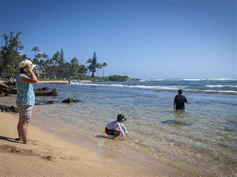 Kapaa Sands 17 | Kauai Kahuna Vacation Rentals