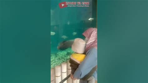 Aquarium Raksasa Tentrem Mall Semarang Bermain