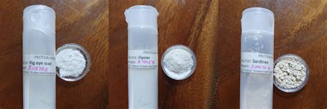 Protein Hydrolysates Production From Marine Fisheries Species