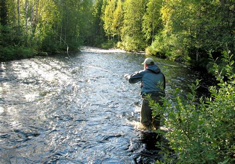 Raubfischangeln Im Lentiira Fishing Camp In Finnland Jetzt