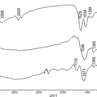 Ftir Spectrum Of P Putida Coconut Fiber Derived Biochar Bc And