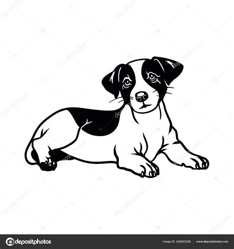 Jack Russell Terrier Dog Vector Isolated Illustration On White