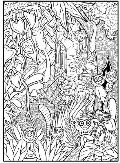 Desenhos De Floresta Para Colorir