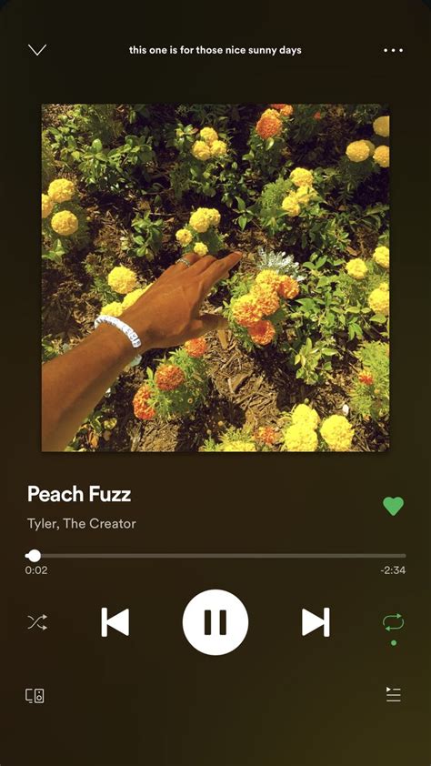 Tyler The Creator Peach Fuzz Peach Fuzz Fuzz Music Songs