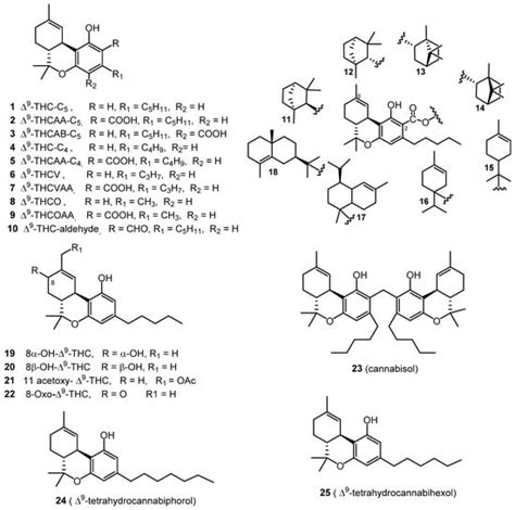 Molecules Free Full Text Cannabinoids Phenolics Terpenes And