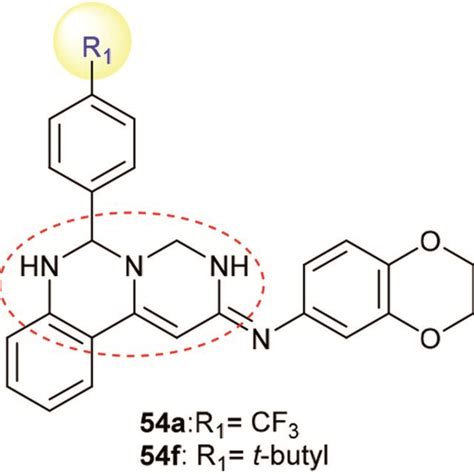 Structure Of Potent Cytotoxic Agents And Tyrosine Kinase Inhibitors