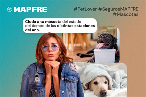 Cuida A Tu Mascota Del Estado Del Tiempo Según La Estación De Año Blog De Seguros Mapfre