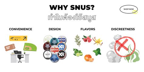 About Snus and Nicotine Pouches