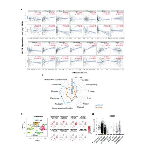 Correlation Of The Hb Egf Expression Level With Immune Infiltration