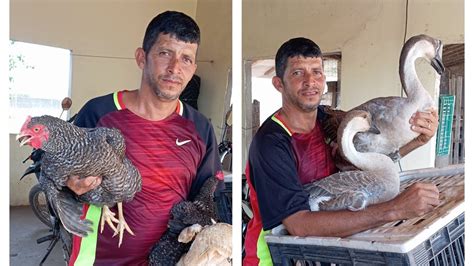 Vanio Das Galinhas Registrando Mais Uma Entrega Essa Destinada A