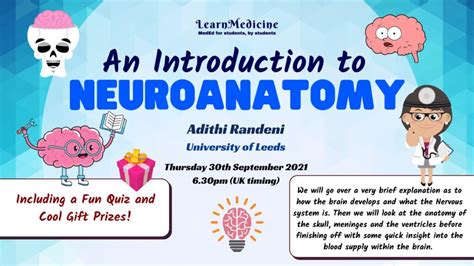 An Introduction To Neuroanatomy LearnMedicine