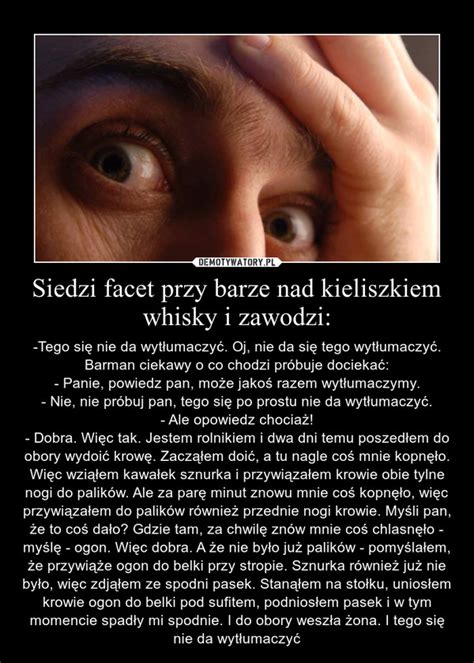 Siedzi Facet Przy Barze Nad Kieliszkiem Whisky I Zawodzi Demotywatory Pl