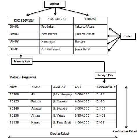 Contoh Struktur Database Model Data Dan Perancangan Sistem Basis Data