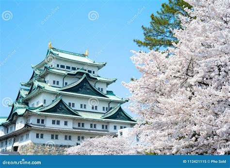 Sakura Nagoya Castle Stock Image Image Of Ieyasu Constructed 113421115