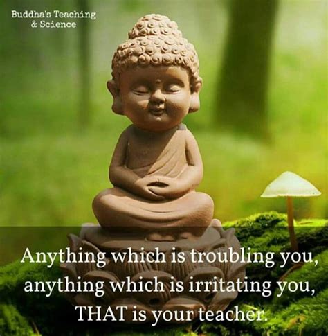 Pin By Bhavana Kaparthy On Buddha Buddha Quotes Inspirational Buddha