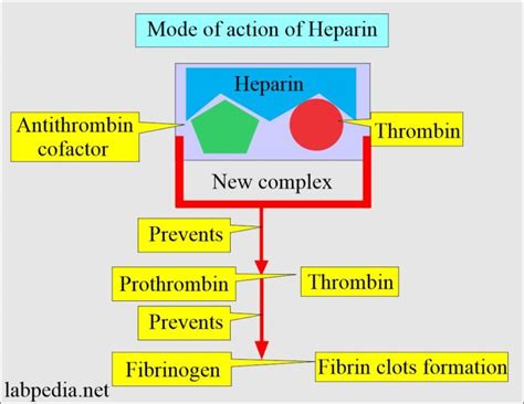 Blood Sample Types Anticoagulants Preservatives Adverse Effects Of