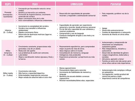 Etapas Del Desarrollo Humano Psicologia Pdf Infoupdate Org