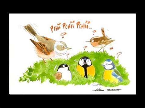 RECONNAITRE LES CHANTS D OISEAUX Exercice N4 Le Chant Des Oiseaux