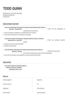 Information Technology Assistant Resume Sample Tips Online Resume