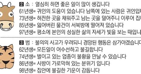 직장인을 위한 오늘의 운세 2022년 8월 29일 월요일 오늘의 띠별 운세 음력 8월 3일