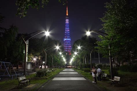 歩いて回れる！定番の東京タワー撮影スポットをご紹介！（浜松町・芝公園編） ネコと夜景とビール