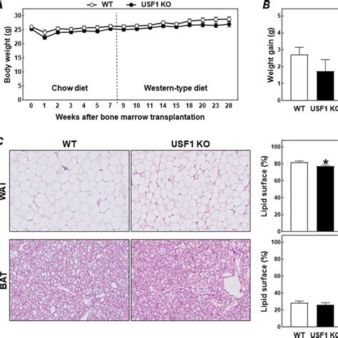 A The Percentage Of Peritoneal Leukocytes Isolated From Ldl Receptor