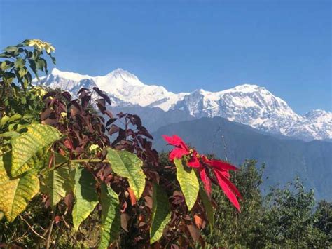 Pokhara Sunrise Tour To Sarangkot GetYourGuide