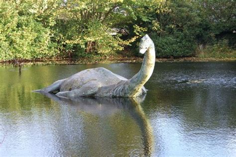 First Recorded Sighting Of Nessie The Loch Man Swimming Loch Ness